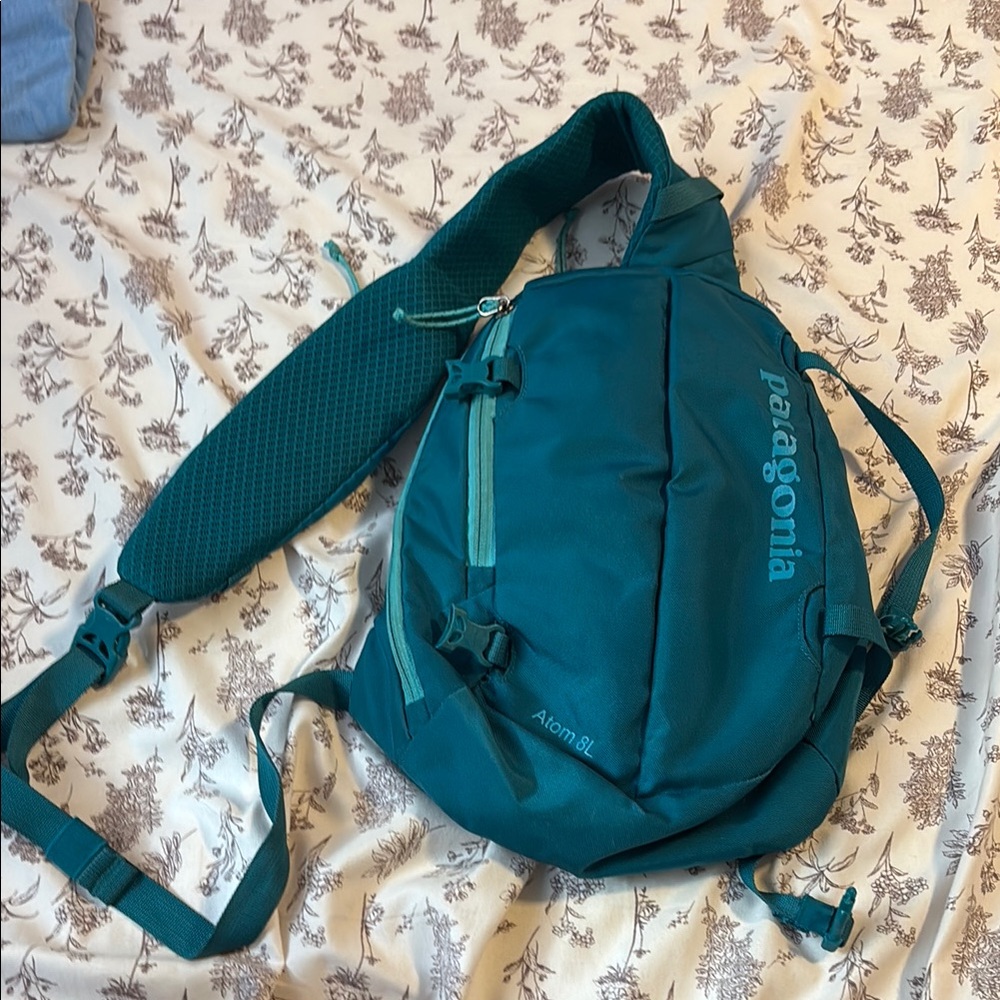 Patagonia Blue Backpack Versatile Design